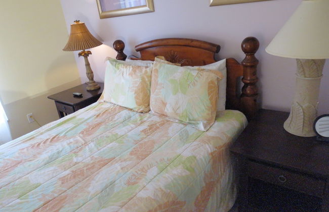 Davenport Area Pool Homes by Sunny OVH - Foto 4