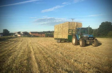 Modern Barn Conversion - Photo 21