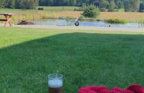 Pod Dębem - Foto 15