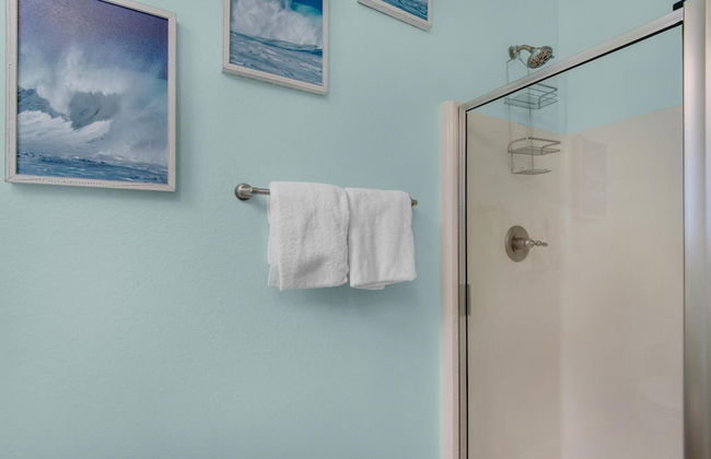 Shell Yeah! - Photo 25