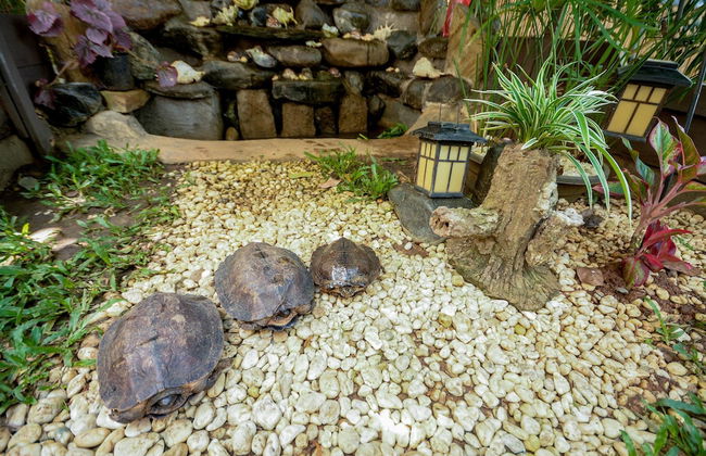 Hilltop Pool and Villa - Foto 40