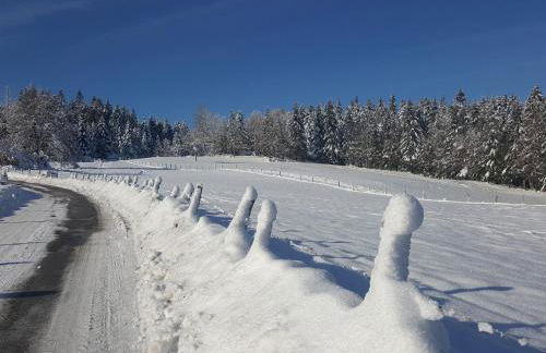 Gîte élégant en pleine nature avec terrasse, départ randonnées, parking privé et équipements inclus - FR-1-589-384 - Foto 20