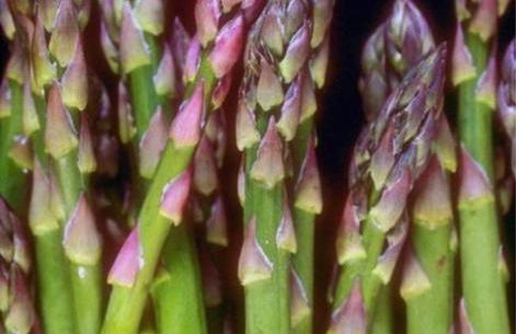 Agriturismo Il Palazzaccio - Foto 39