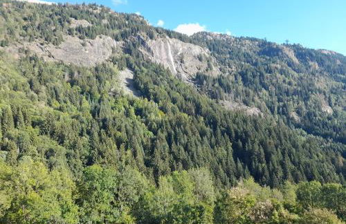 Edelweiss Vaujany Alpes d'Huez 4 étoiles - Foto 10