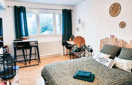 JOLI STUDIO AVEC PARKING ET NETFLIX - Proche du palais des exposition, du stade de Beaublanc et du Zenith - Foto 1