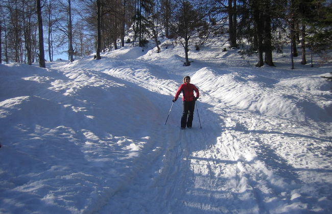 Villa Wohnlich - Foto 30