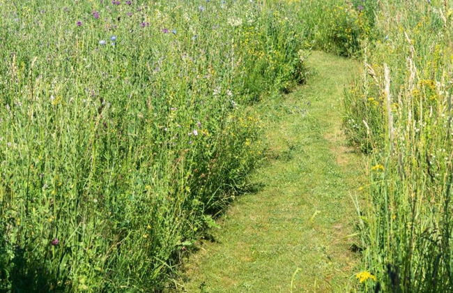 Holiday Home with Garden & Terrace in Bodenwöhr near Hammersee - Foto 29