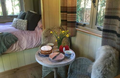 Chez Marguerite Shepherd's Hut with Private Sauna, Outside Bath - Photo 10