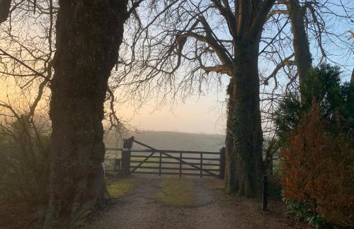 Woodside Studio - Foto 32