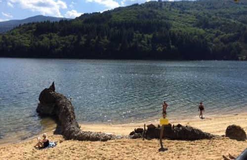 le grenier d'Annick - Foto 13