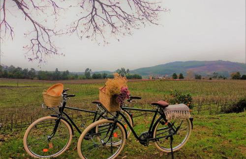 TERRA ROSA COUNTRY HOUSE & VINEYARDS - Photo 102