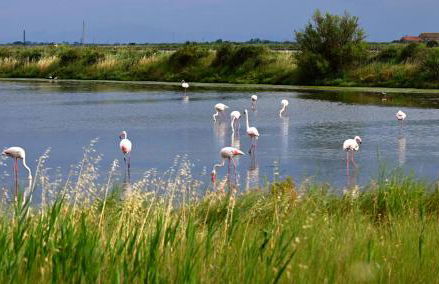 Appartamenti Nonna Rosa - Foto 32