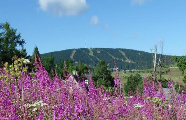 Nice Holiday Home With Fireplace in the Ore Mountains Near the Chairlift - Foto 23