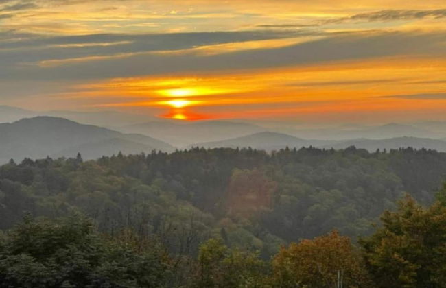 Apartment in Freyung Near Bavarian Forest - Foto 25