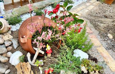 Tradiotional house - Foto 35