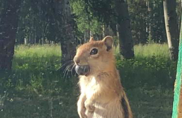 Arrowhead Getaway In Cimarron - Foto 37