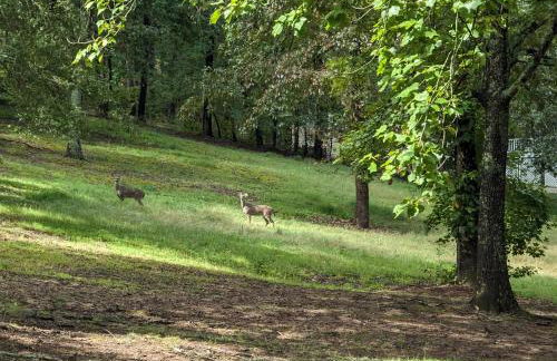 Cabin Bliss - Just 1 Mile from Lake Lanier - Foto 38