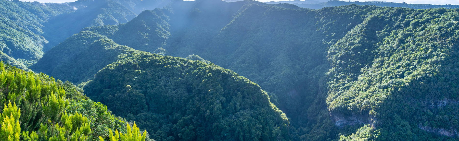 Randonnée dans la forêt enchantée de Cubo de la Galga
