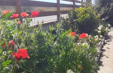 Villa Nonno Nicola - Foto 52