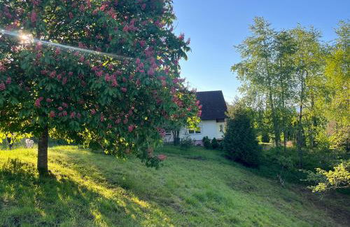 Landhaus-Villa auf dem Berg - Foto 54