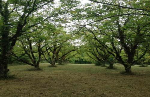 Garden Home with Ensuite - Foto 27