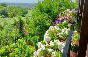 Colle Perazzoni - Foto 46