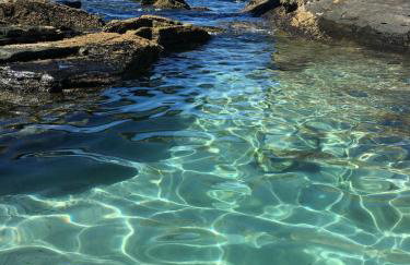 Apartamento na Praia do Forte CF - Foto 32