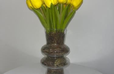 Impera House, Apt Premium - Foto 8