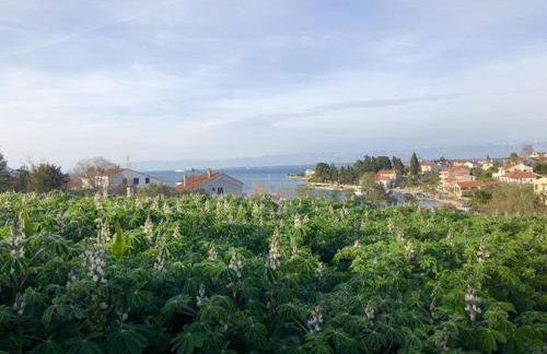 Apartments Ruzica - Foto 41