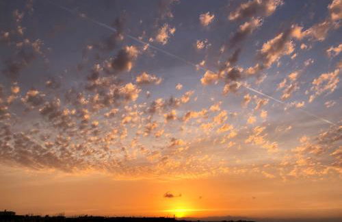 Yellow Sweet Home - Foto 18