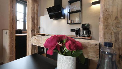 Altstadt Apartment in Torgau mit Balkon und Kunstgarten - Foto 2