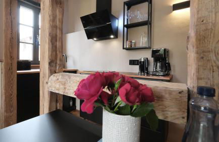 Altstadt Apartment in Torgau mit Balkon und Kunstgarten - Foto 2