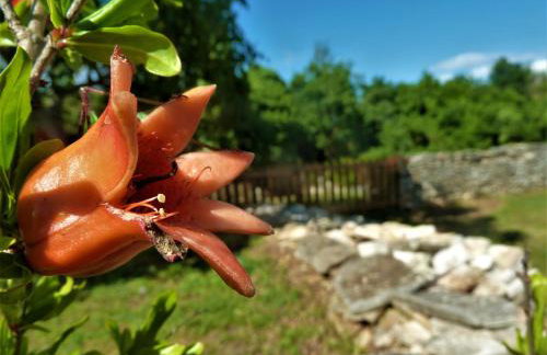 House Meli - Photo 31