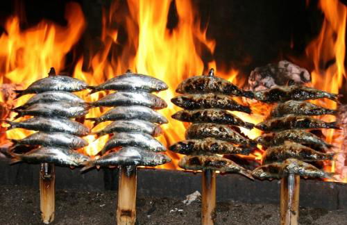 PARQUE DEL MEDITERRANEO - Photo 56