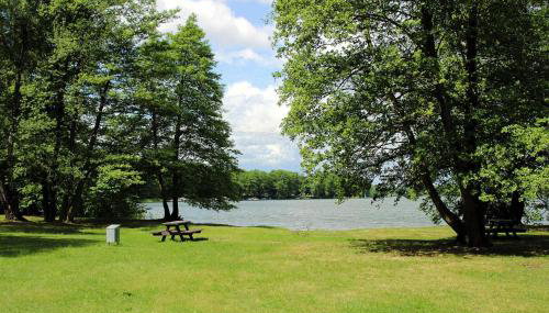 Bungalow, Wernsdorf - Foto 4, Garden