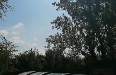 Cocottes & Colibri - Foto 40