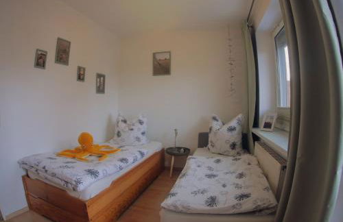 KüstenMuschel - Foto 24