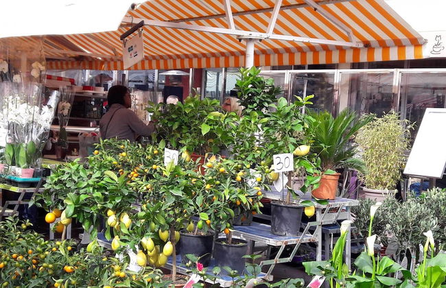 La Maison de Noélie - rez de jardin - Foto 53