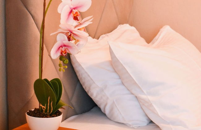 Apartments Aristokrata - Foto 68