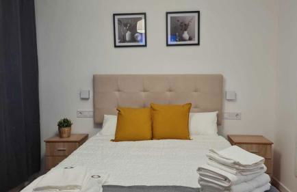 Suites recién reformadas Vista Alegre - Photo 8