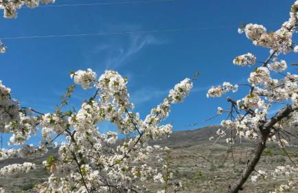 La casita del jerte - Foto 3