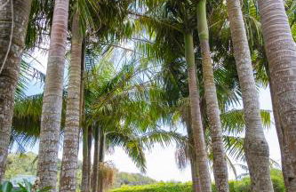 Quinta do Torcaz - Foto 103