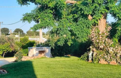 Casolare Lodedo - Foto 21