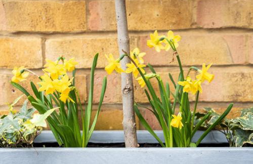 Chic & Cozy Flat in SW London, Perfect Location! - Pass the Keys - Foto 14