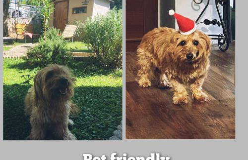 Apartments Sabo - Photo 24