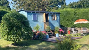 Shepherds Hut in the Hills - Nr. Mold - Foto 4, Garden view