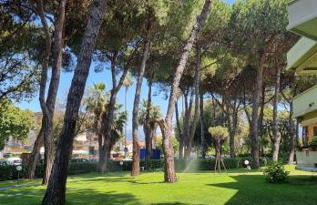 La casina al mare - Photo 41