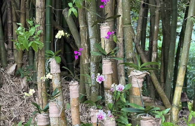 HACIENDA ILUMINADA ECO RETREAT - Foto 38