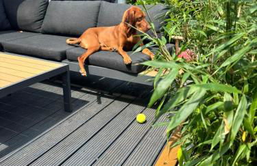 Haus mit drei Schlafzimmern und Garten - Foto 4