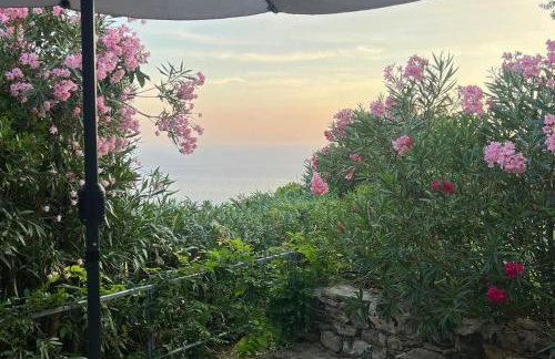 La casina fra gli oleandri - Foto 3